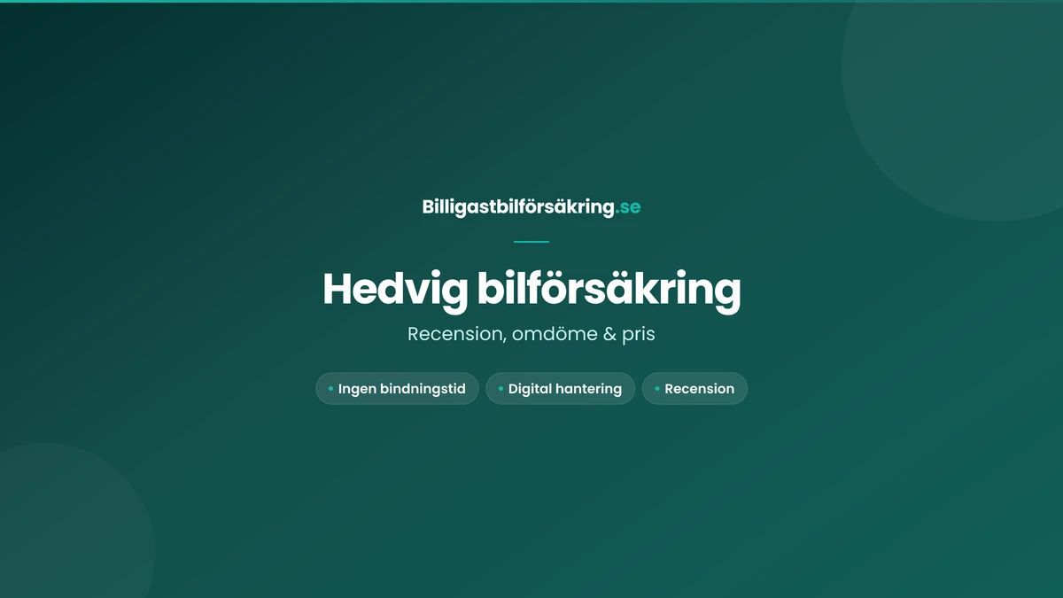 Hedvig bilförsäkring — recension, omdöme och pris